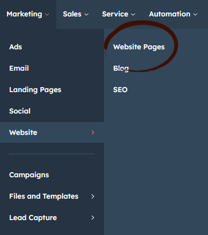 Go to Marketing > Website > Pages.